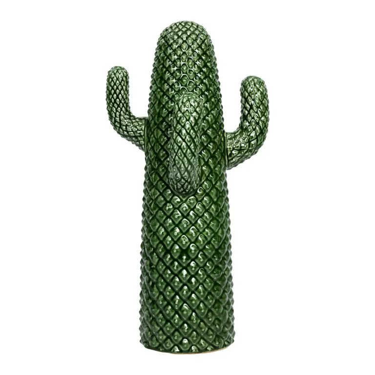 cactus decorativo Cacto