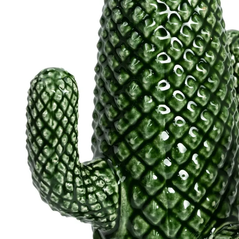cactus decorativo Cacto