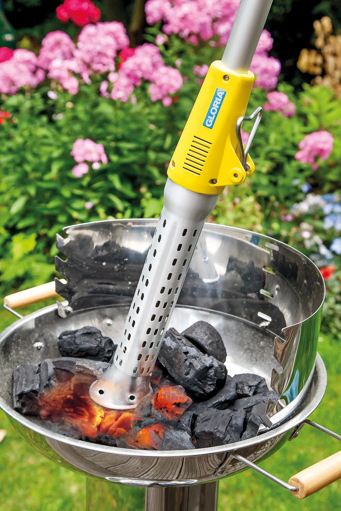 Diserbante Thermoflamm Bio