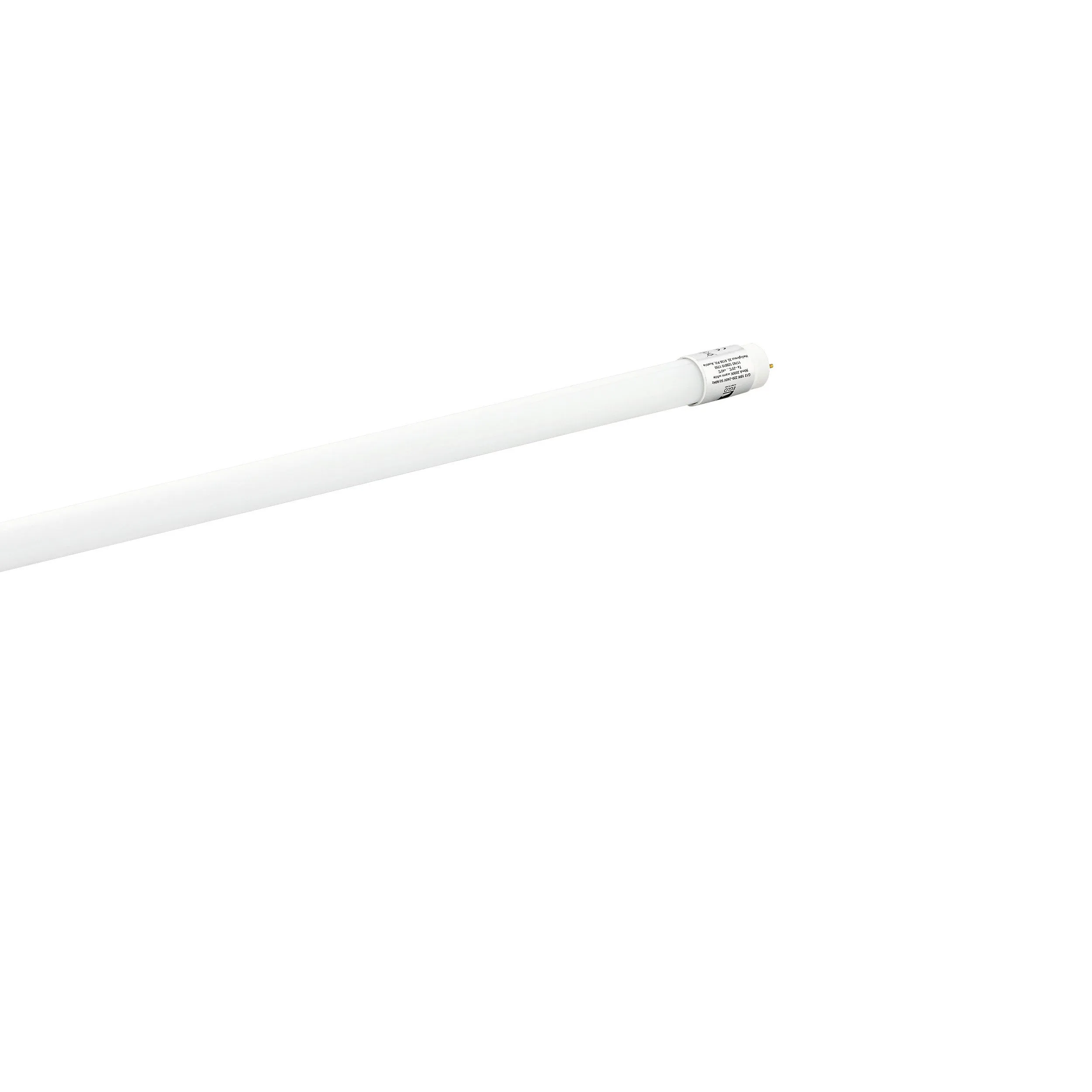 Lampadina G13