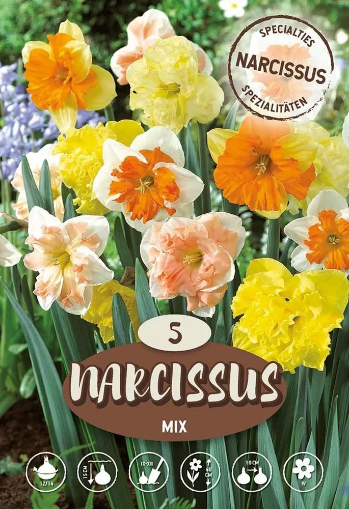 Narciso Orchid Misto