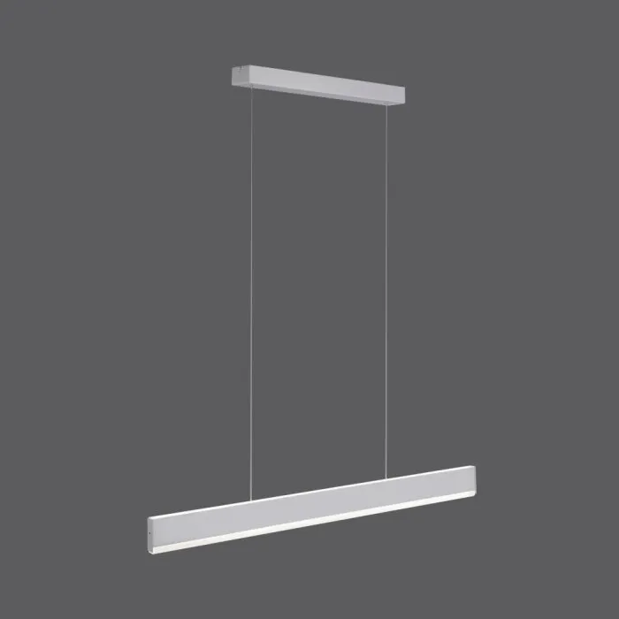 Paul Neuhaus ARINA Lampada a Sospensione LED Acciaio inox, 2-Luci, Sensori di movimento